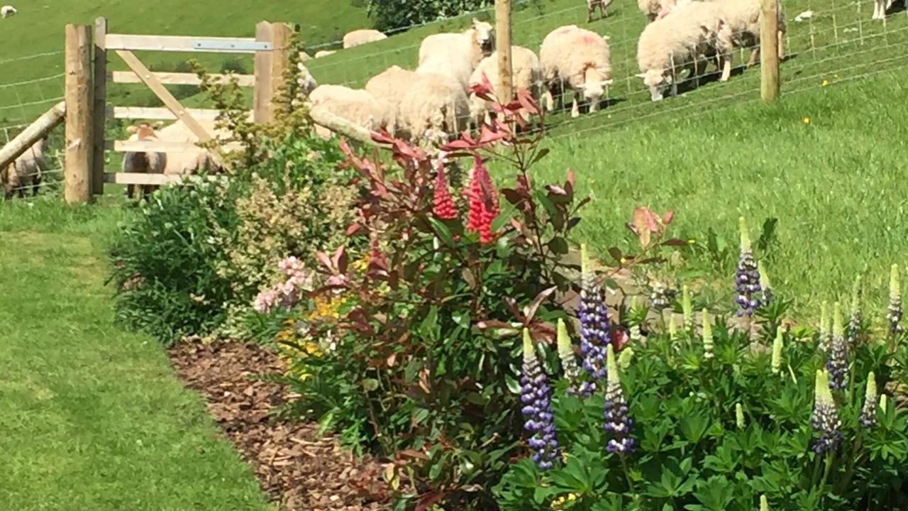Photo of Bedroom in Abergavenny
