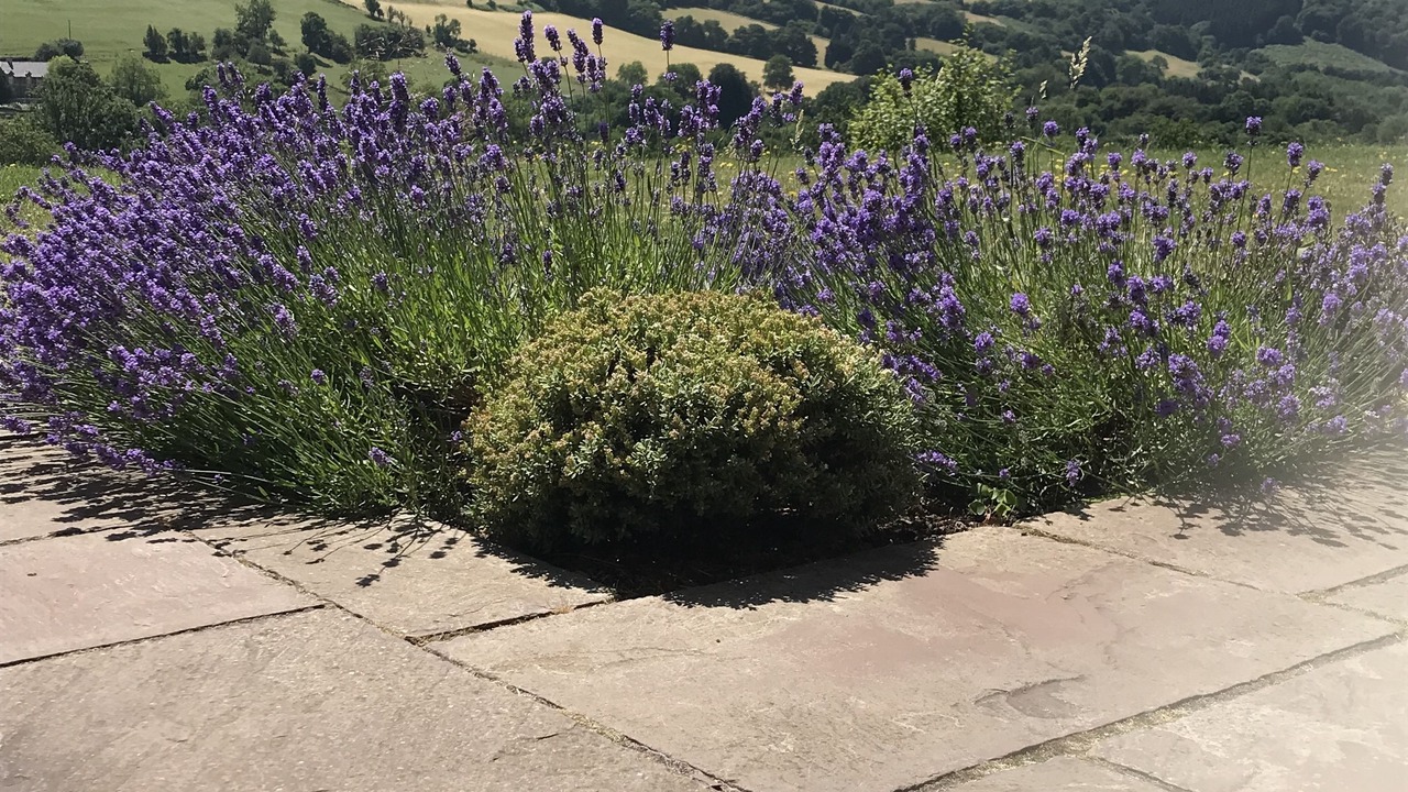 Photo of Patio Balcony in Abergavenny