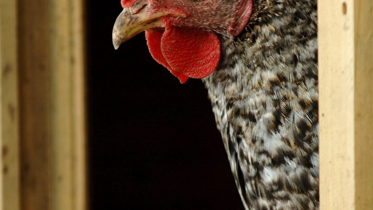 Photo of Outdoor in Newton Longville