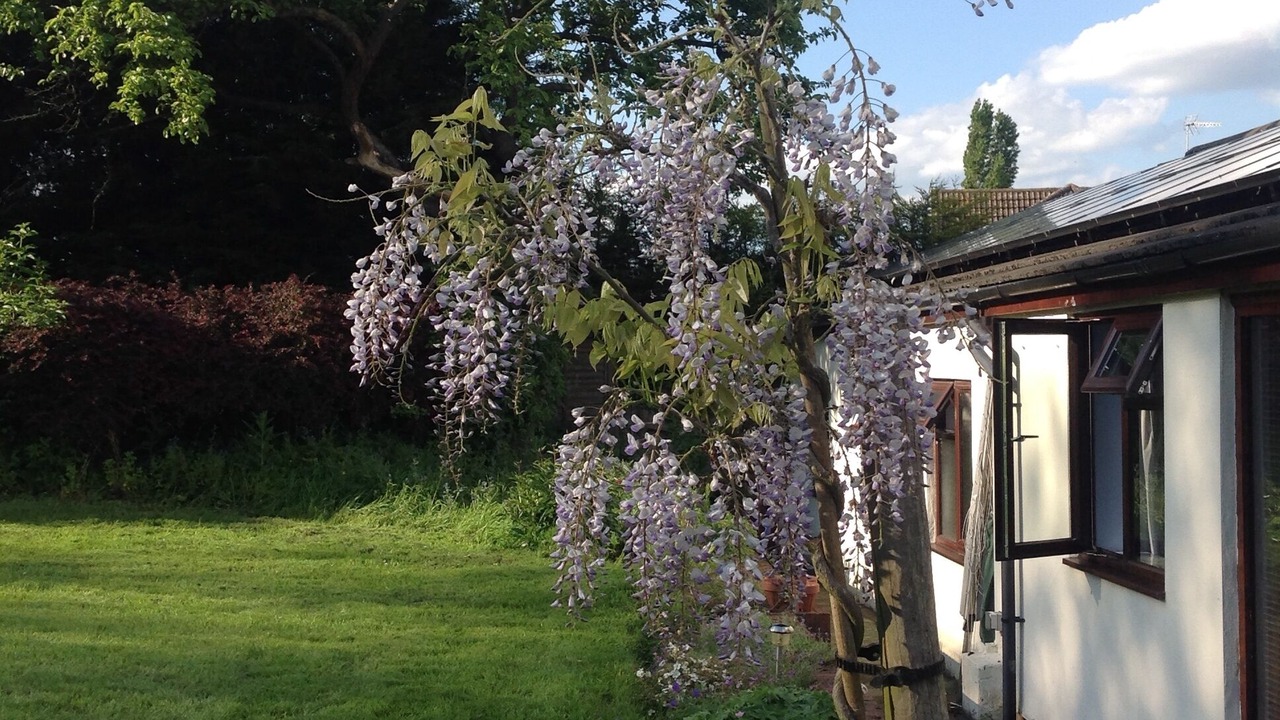 Photo of Outdoor in Newton Longville