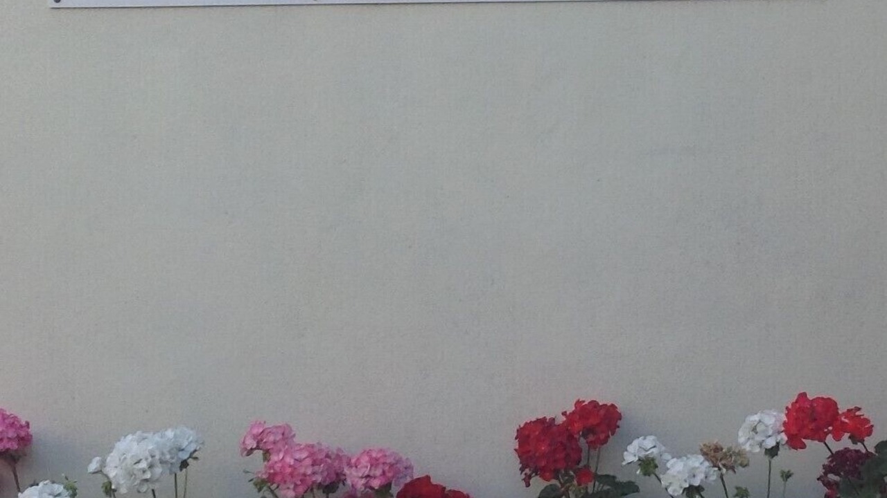 Photo of Outdoor in Newton Longville