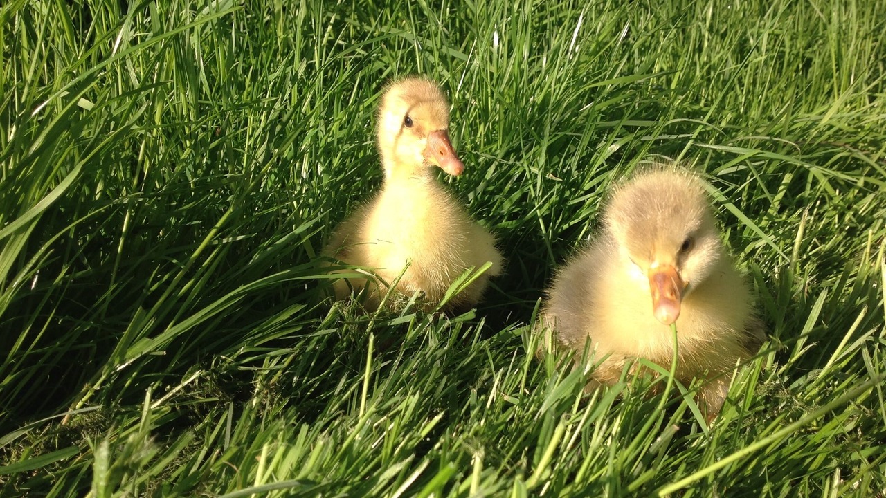 Photo of Outdoor in Newton Longville