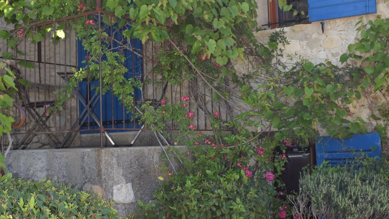 Photo of Outdoor in Seguret