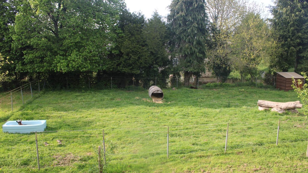Photo of Outdoor in La Chapelle-au-Riboul