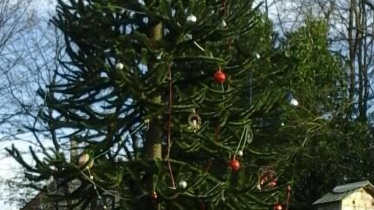 Photo of Outdoor in La Chapelle-au-Riboul