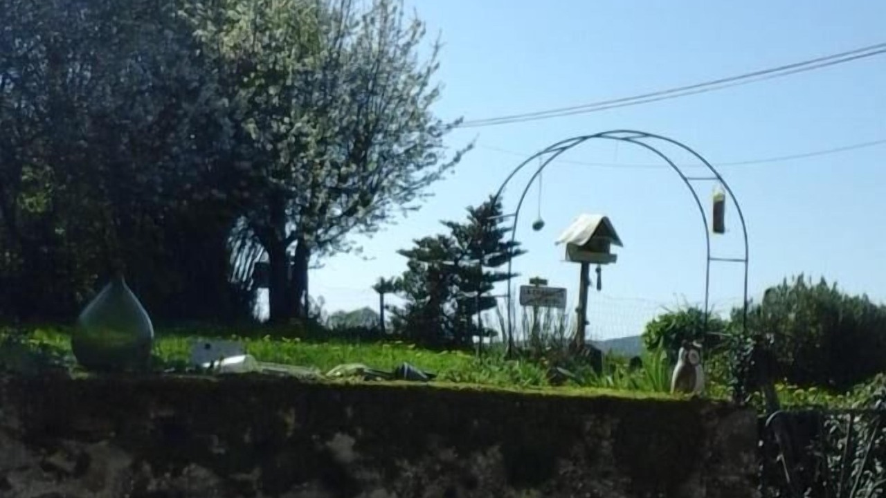 Photo of Outdoor in La Chapelle-au-Riboul