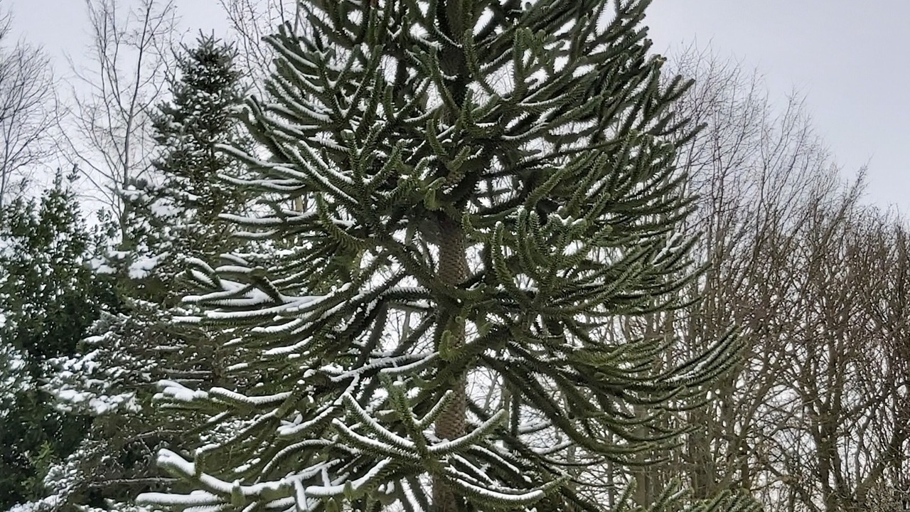 Photo of Outdoor in La Chapelle-au-Riboul
