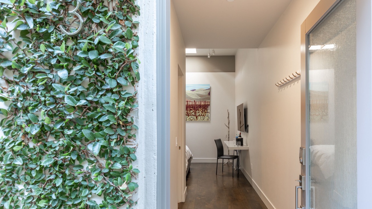 Photo of Outdoor in Downtown Napa