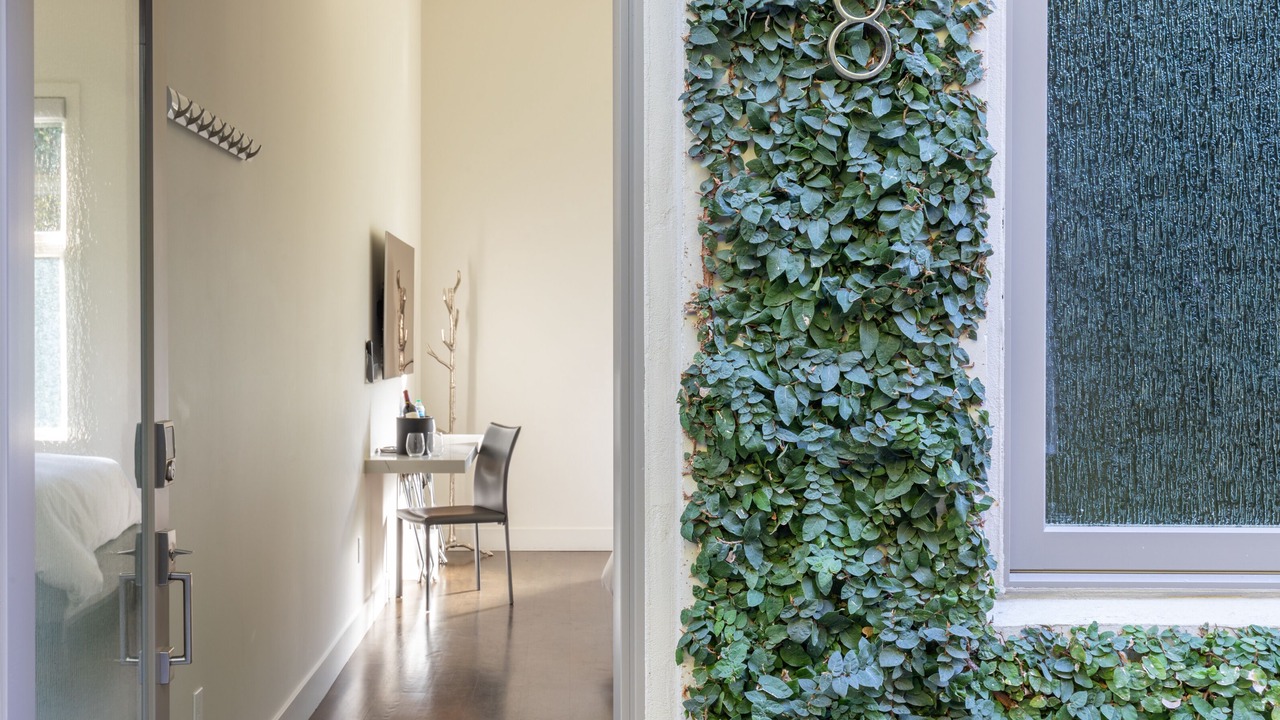 Photo of Outdoor in Downtown Napa