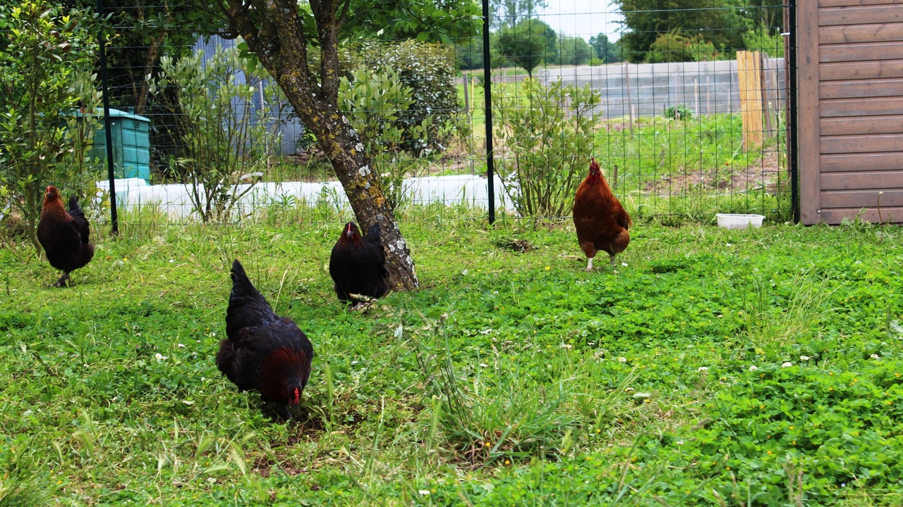 Photo of Outdoor in Vix