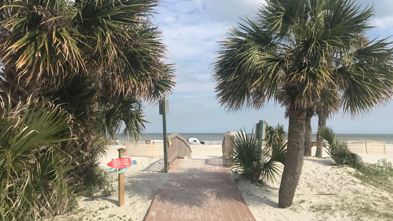 Photo of Others in Palmetto Dunes