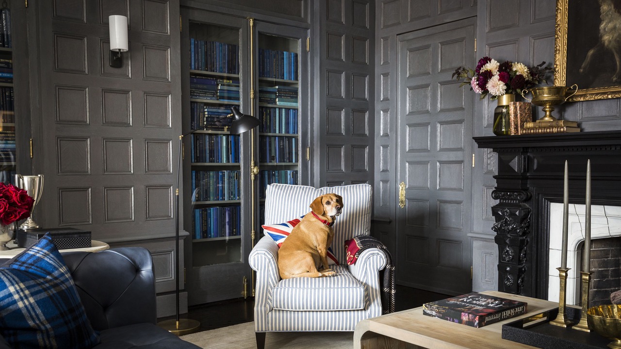 Photo of Others in Montclair