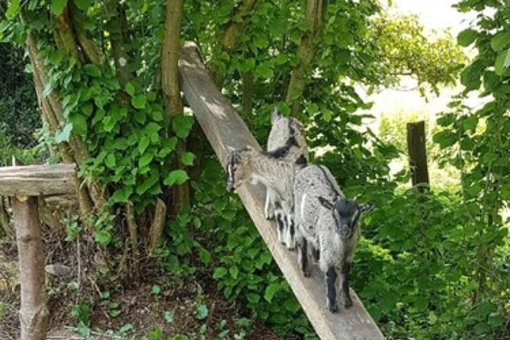 Photo of Others in Mouchamps
