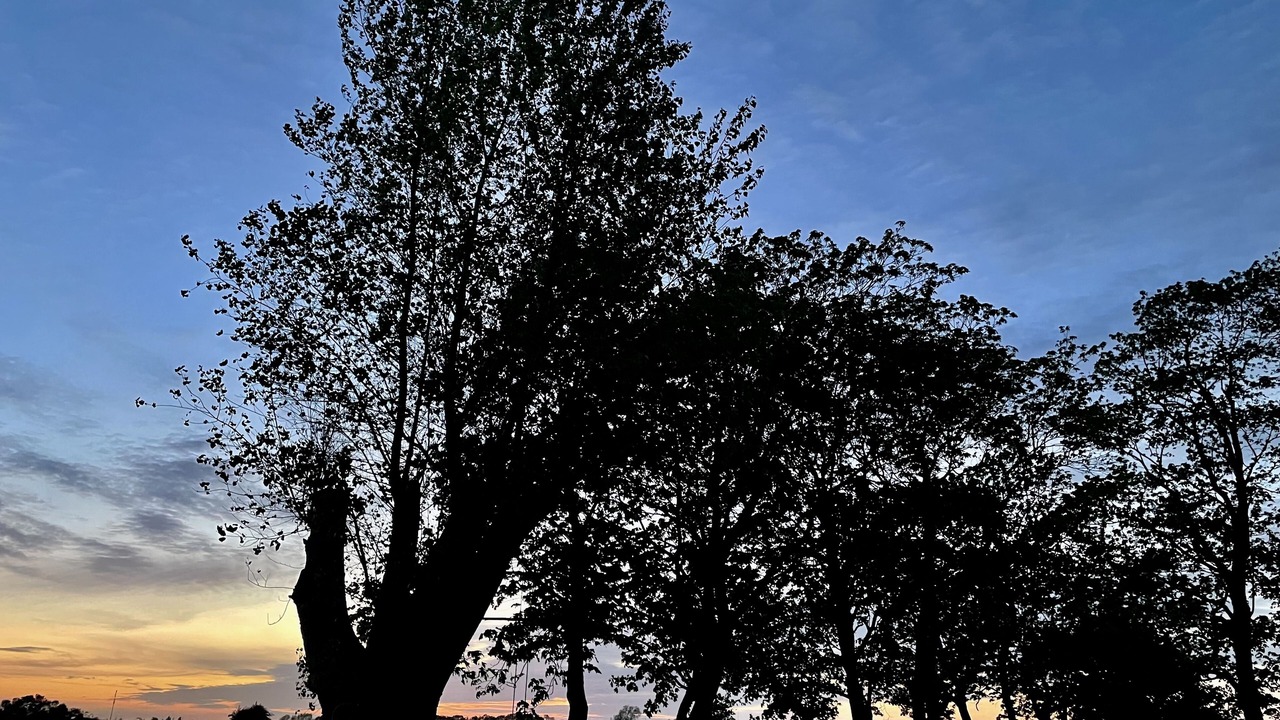 Photo of Outdoor in Nyborg