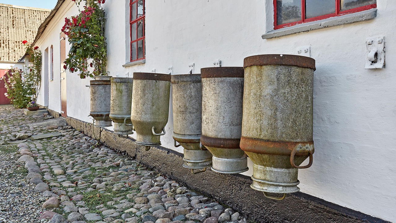 Photo of Outdoor in Nyborg