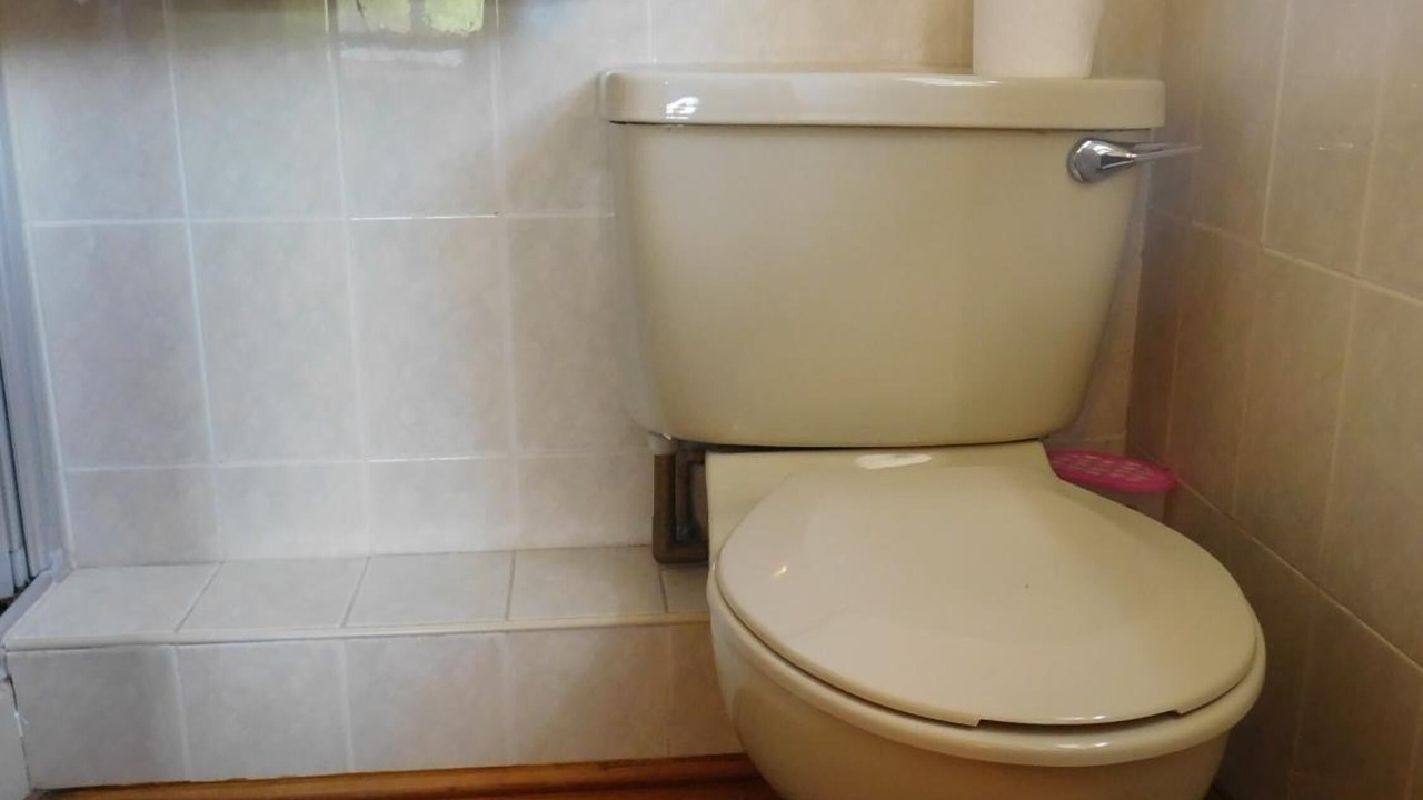 Photo of Others in Forden