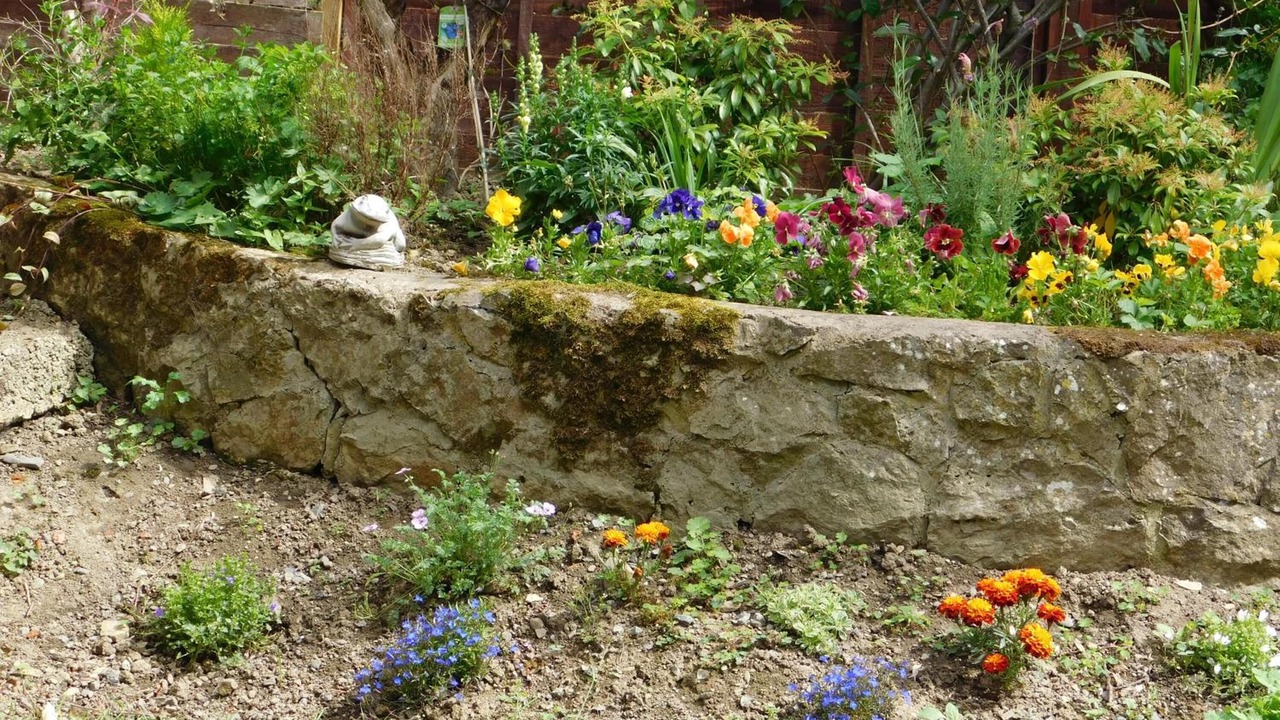 Photo of Outdoor in Forden