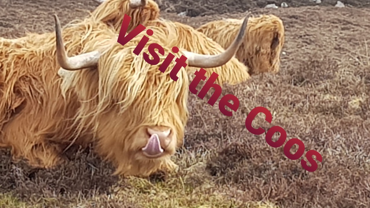 Photo of Others in Toscaig