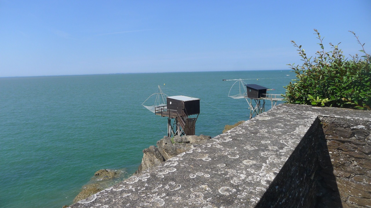 Photo of Others in Loire-Atlantique