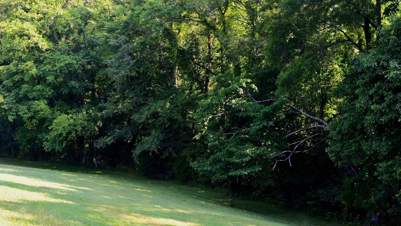 Photo of Outdoor in Woodbury