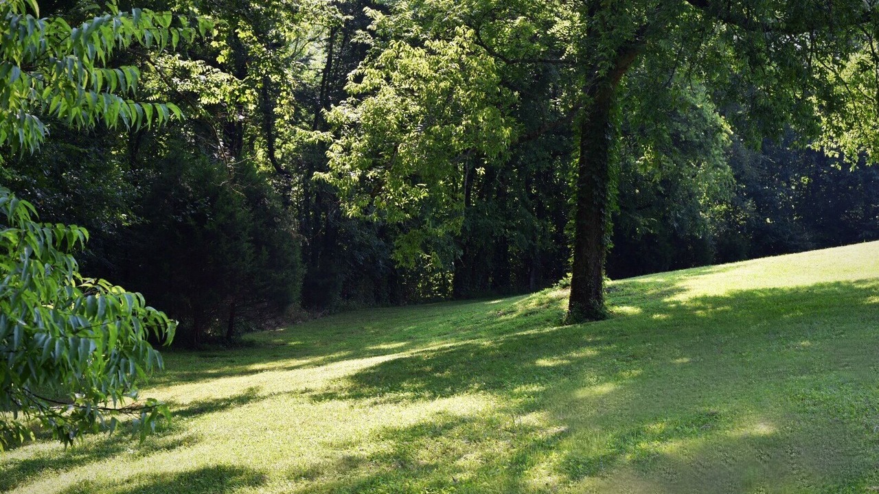 Photo of Outdoor in Woodbury