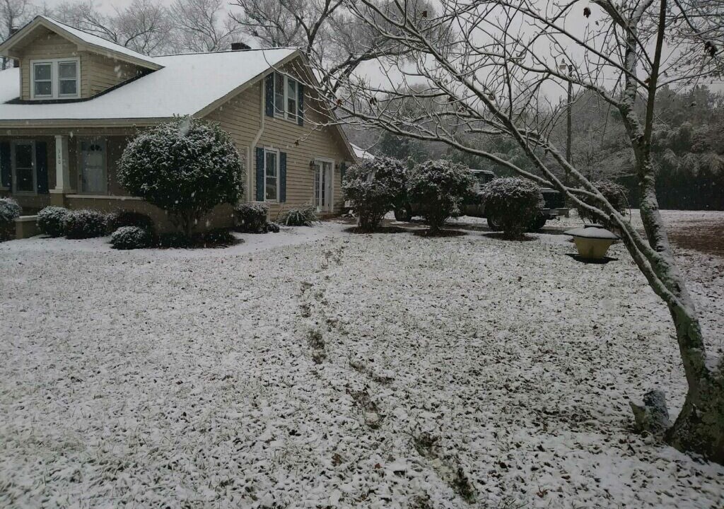 Photo of Outdoor in Forest City