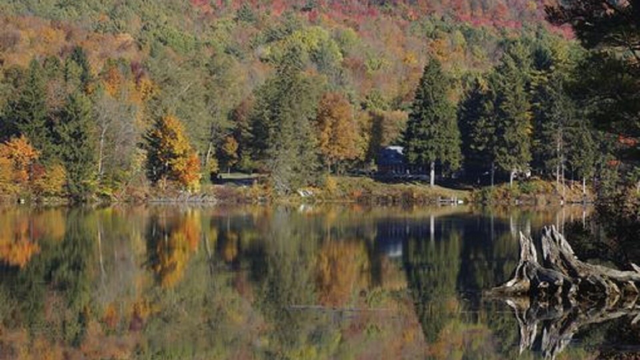 Photo of Outdoor in Wells