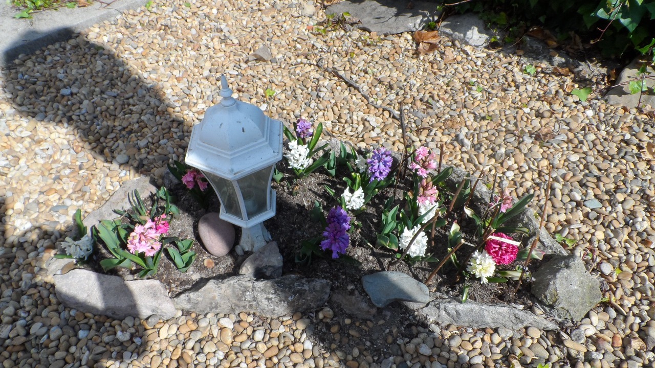 Photo of Outdoor in Cruzy