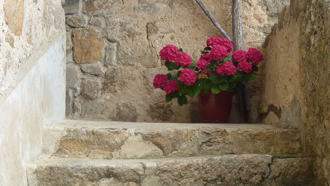 Photo of Outdoor in Hermitage-Tournonais-Herbasse-Pays de Saint-Felicien