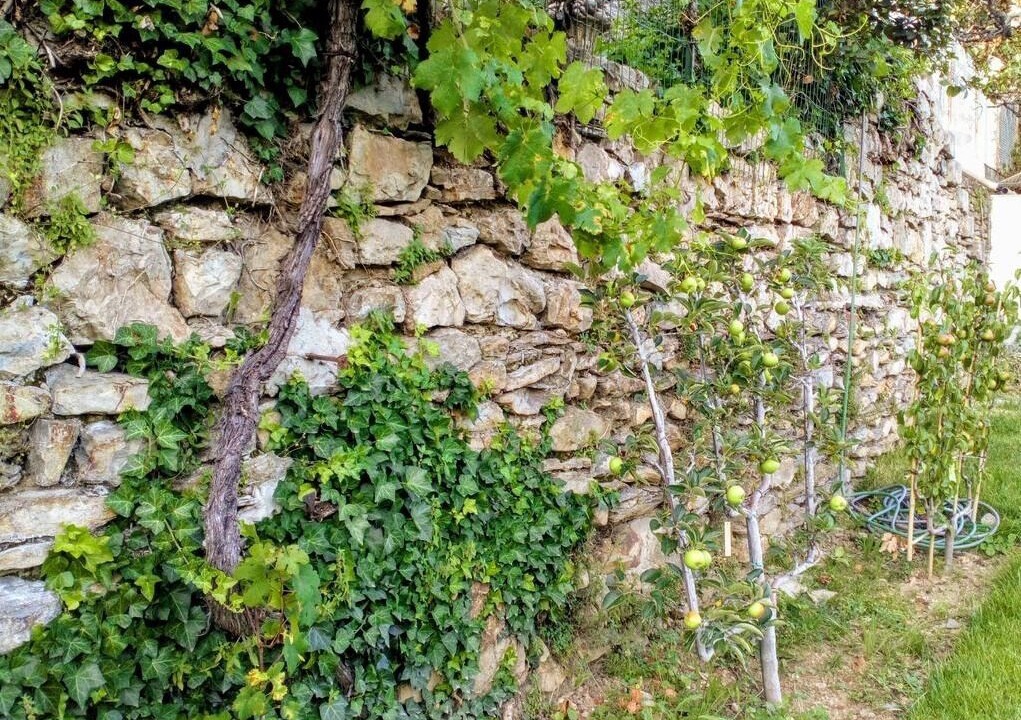 Photo of Outdoor in Privas