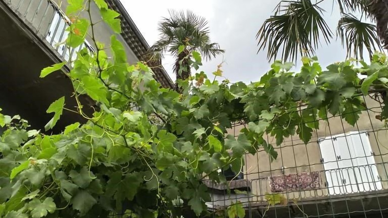 Photo of Outdoor in Privas