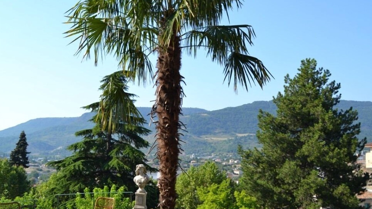 Photo of Outdoor in Privas