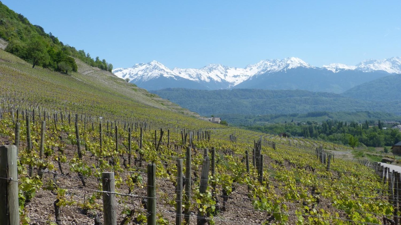 Photo of Outdoor in Montmelian