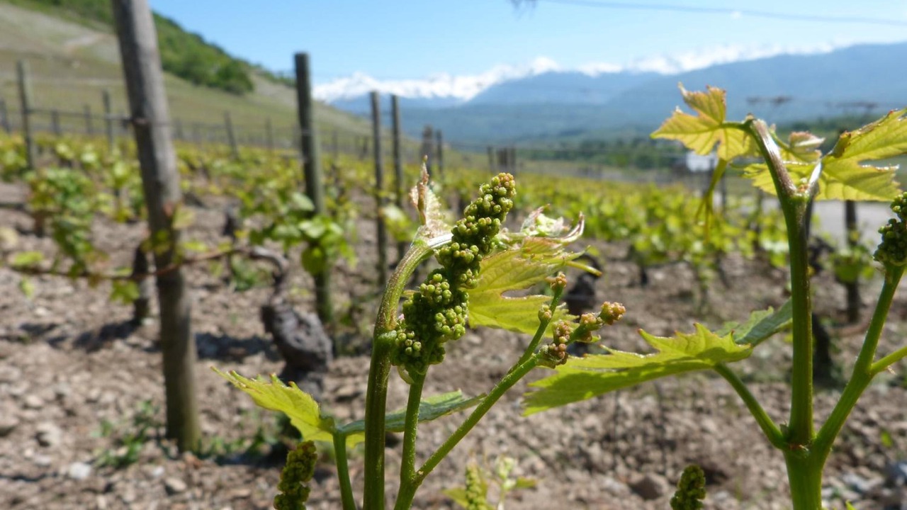 Photo of Outdoor in Montmelian