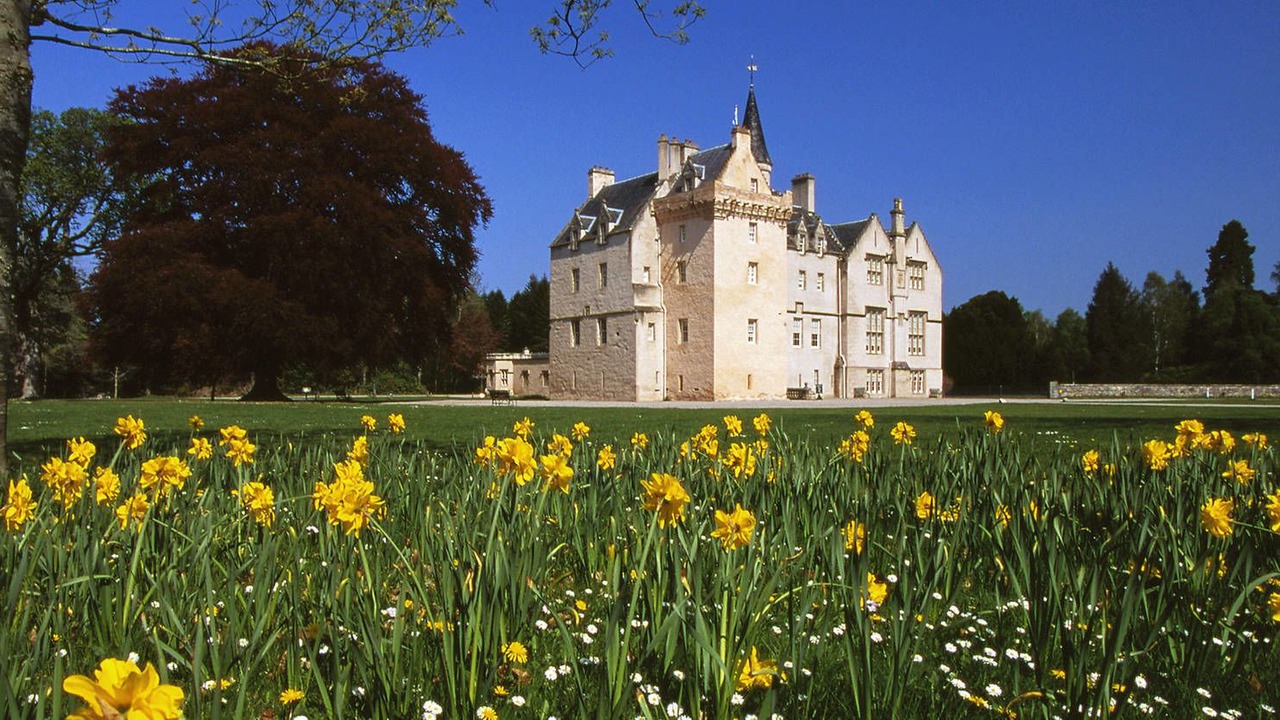 Photo of Others in Forres