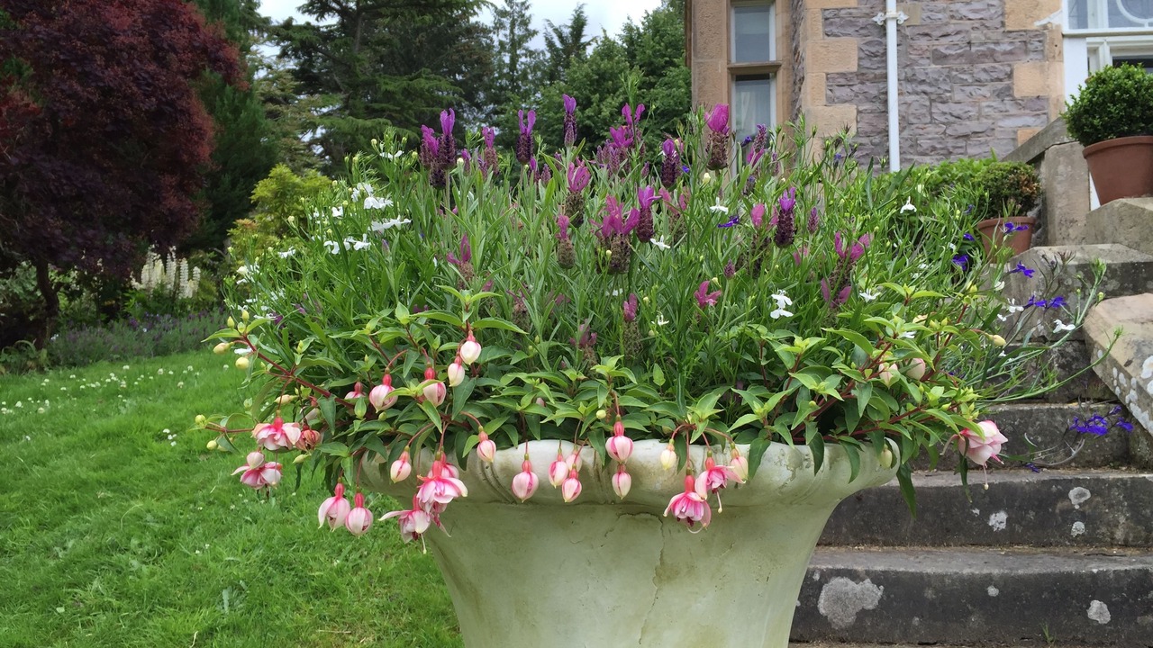 Photo of Outdoor in Forres