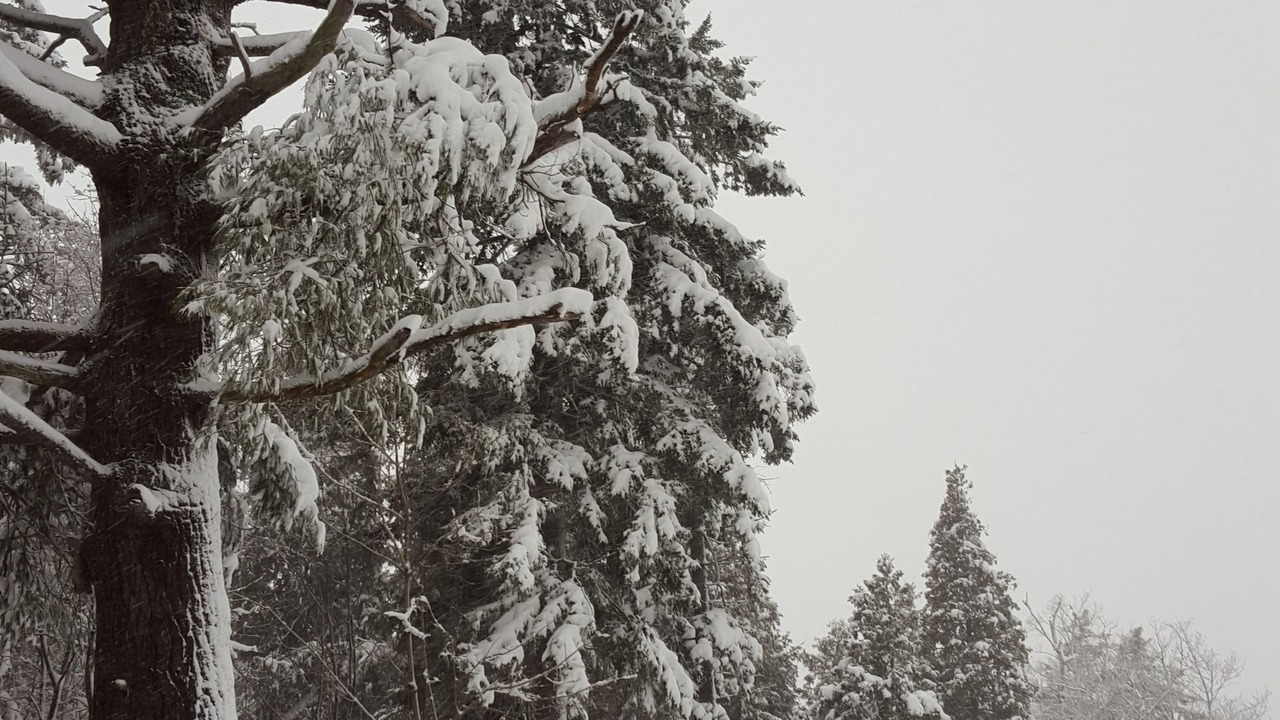 Photo of Outdoor in Rothesay