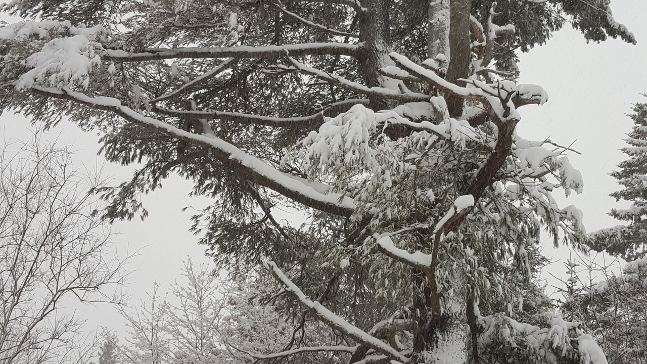 Photo of Outdoor in Rothesay