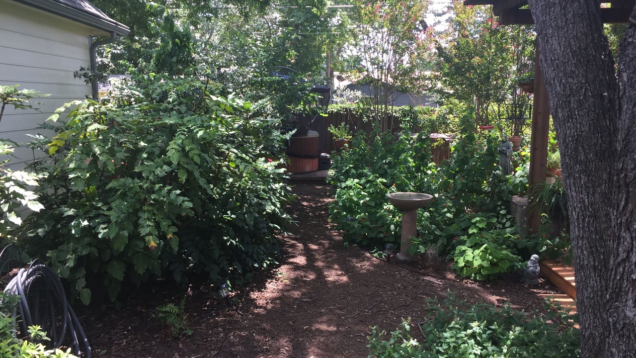 Photo of Others in Garland