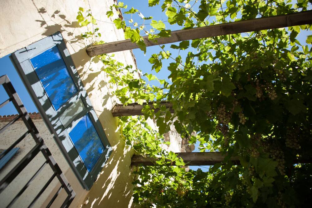 Photo of Outdoor in Cuxac-dʼAude
