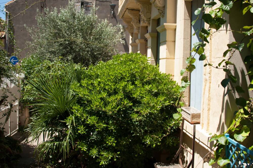 Photo of Outdoor in Cuxac-dʼAude