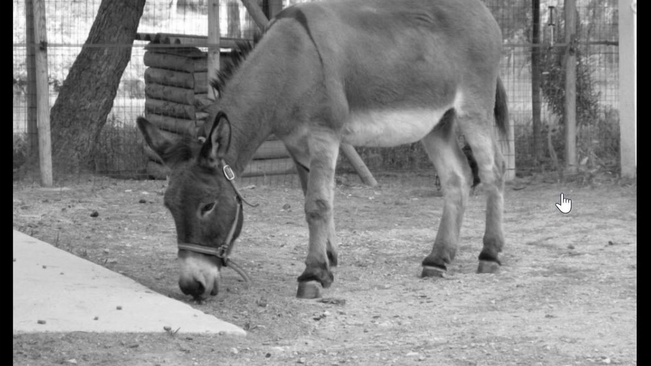 Photo of Others in Barbentane