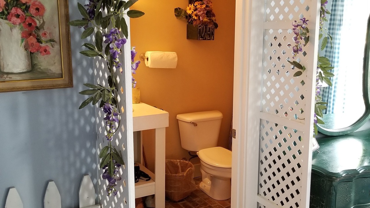 Photo of Bathroom in Canyon Lake