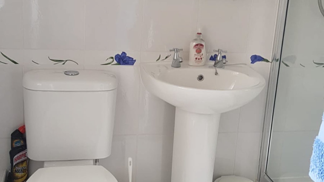 Photo of Others in Sheffield Green