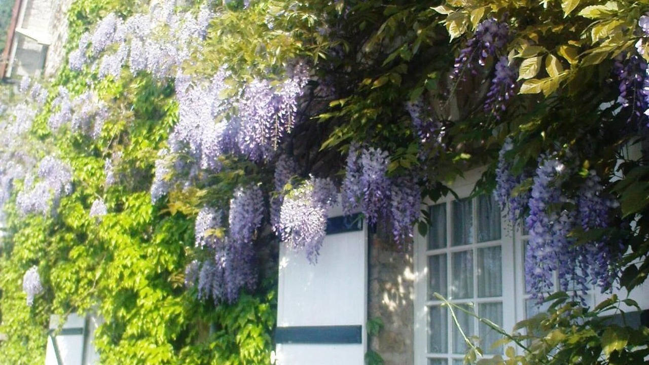 Photo of Outdoor in Chateauneuf-la-Foret
