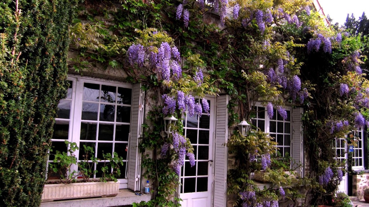 Photo of Outdoor in Chateauneuf-la-Foret