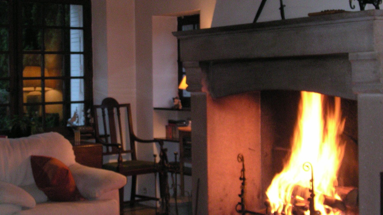 Photo of Livingroom in Chateauneuf-la-Foret