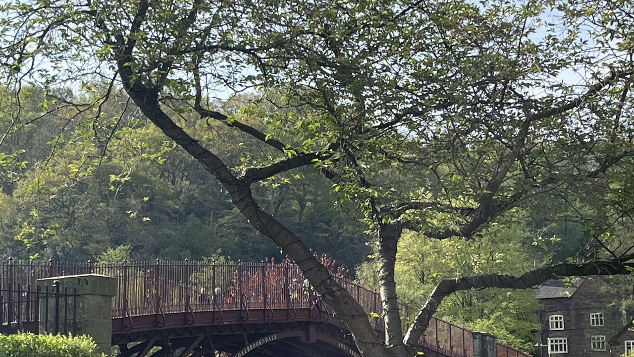 Photo of Others in Coalbrookdale