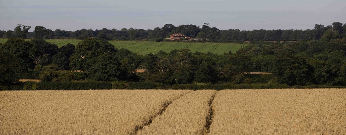 Photo of Others in Aldborough