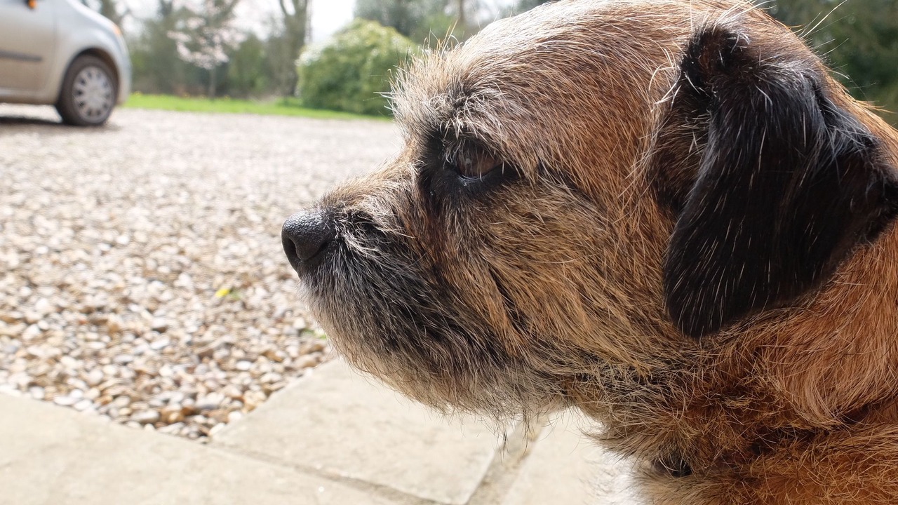 Photo of Others in Aldborough